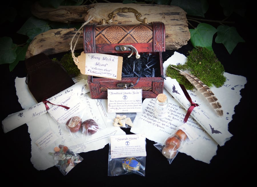 Young  Wizard Collectors Chest Starter kit with 2 x spells 