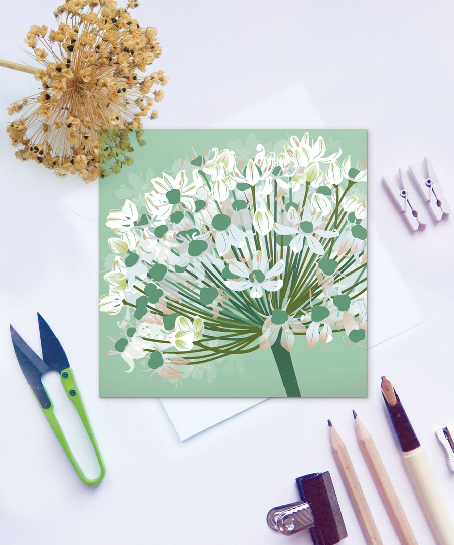 White Allium Card - Floral, Blank