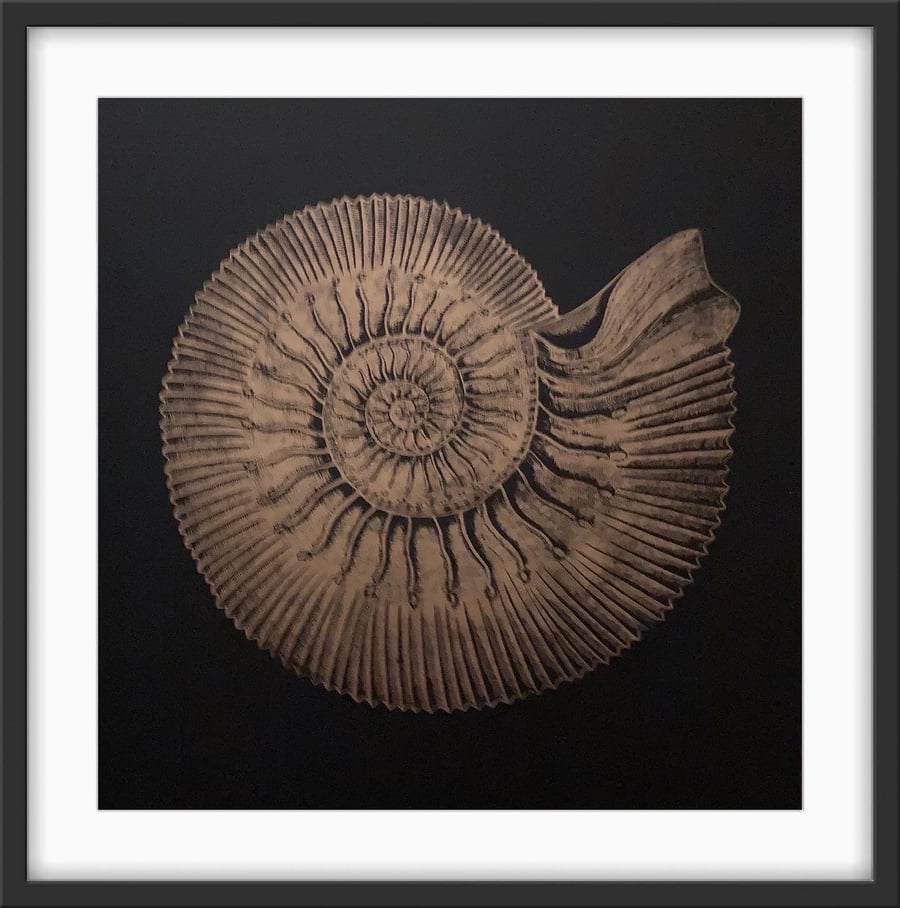 Ammonite - Original Linocut Print 