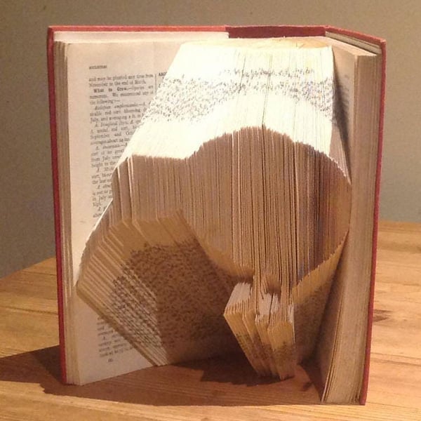 Kiwi MMF Book Folding Pattern - EMAILED PDF PATTERN