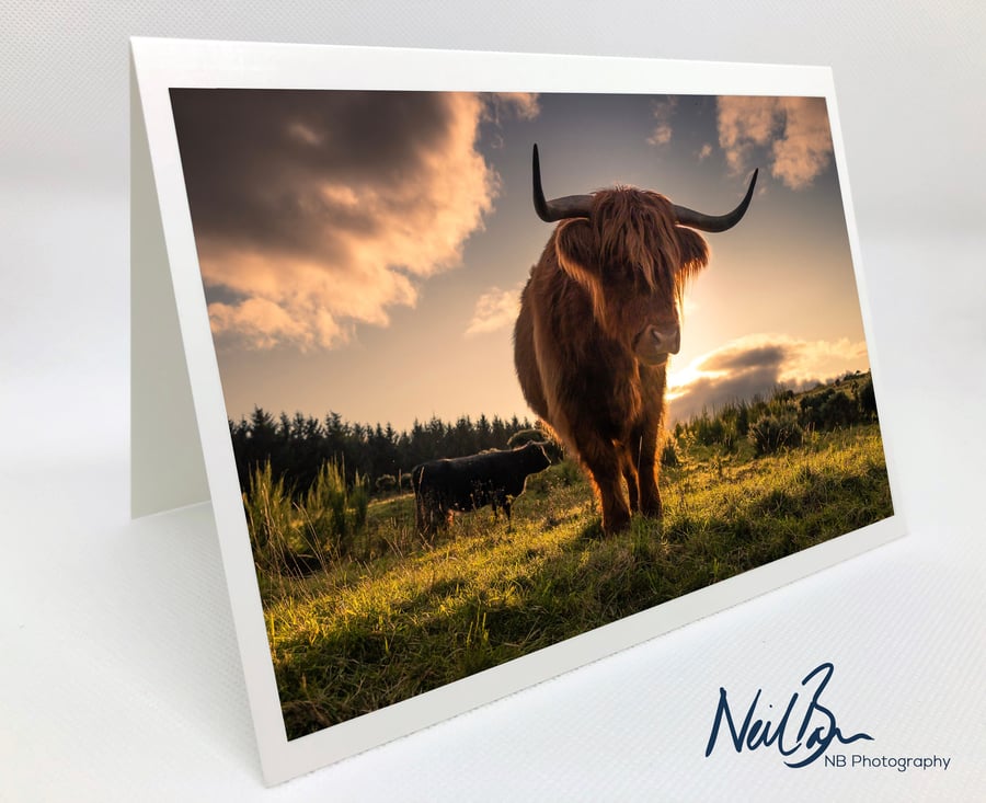 Highland CowCoo - Scotland Greeting Card by Neil Barr