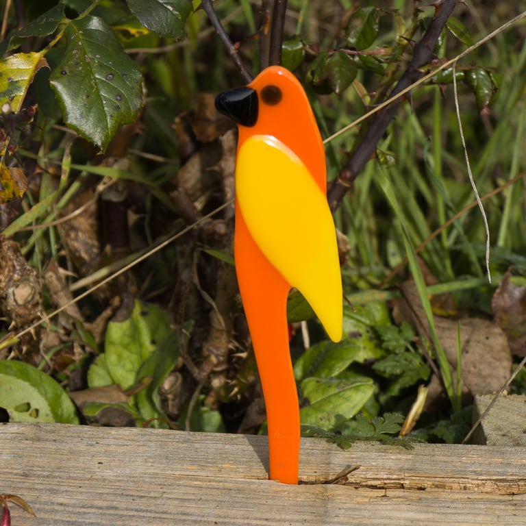 Orange and Yellow Pot Parrot in Fused Glass - 3200-08