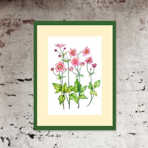 Flowers Botanical Watercolour Original Painting of Anenome Pink Flowers