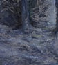 ORIGINAL - Cannock Chase - Image 5