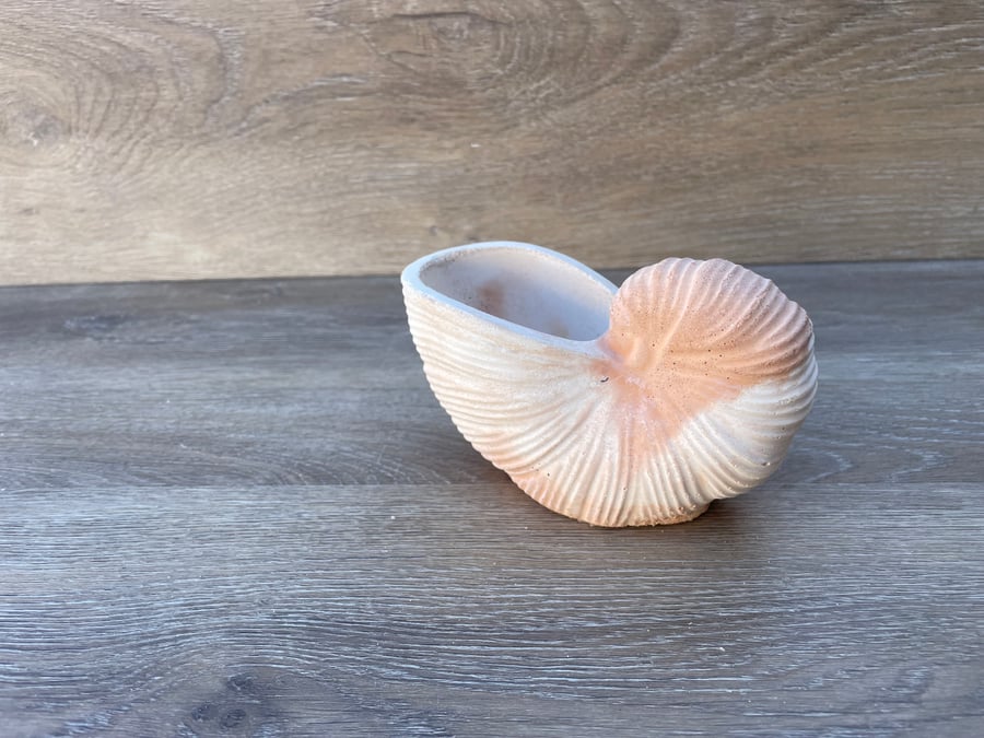 Nautilus shell in white and terracotta cement
