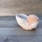 Nautilus shell in white and terracotta cement