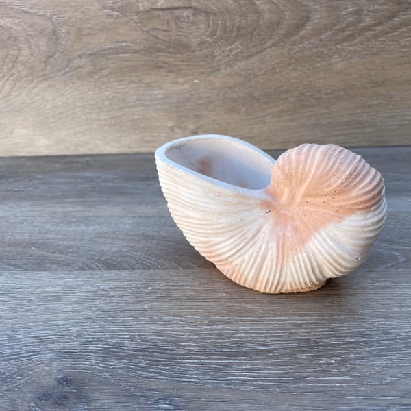 Nautilus shell in white and terracotta cement