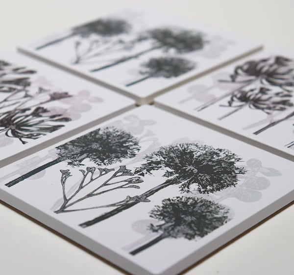 Set of four ceramic sandstone coasters featuring Alliums and Agapanthus