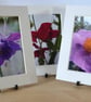 3 - 8' x 6" Mounted Flower Photos