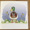 New Floral Duck ‘Drake’