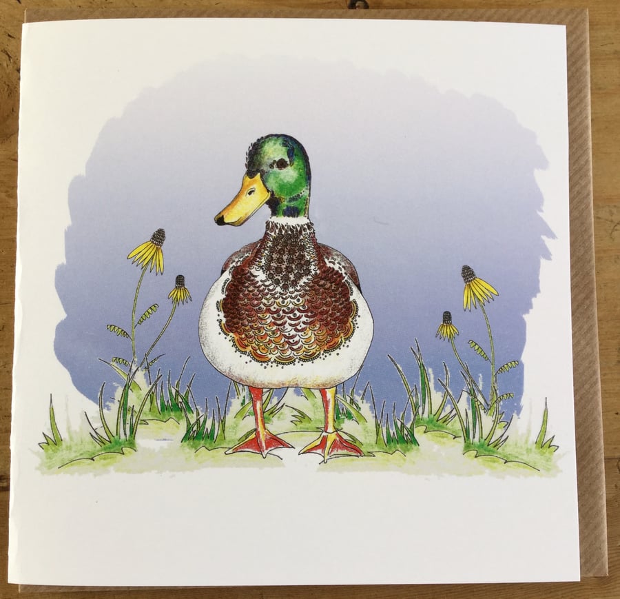 New Floral Duck ‘Drake’
