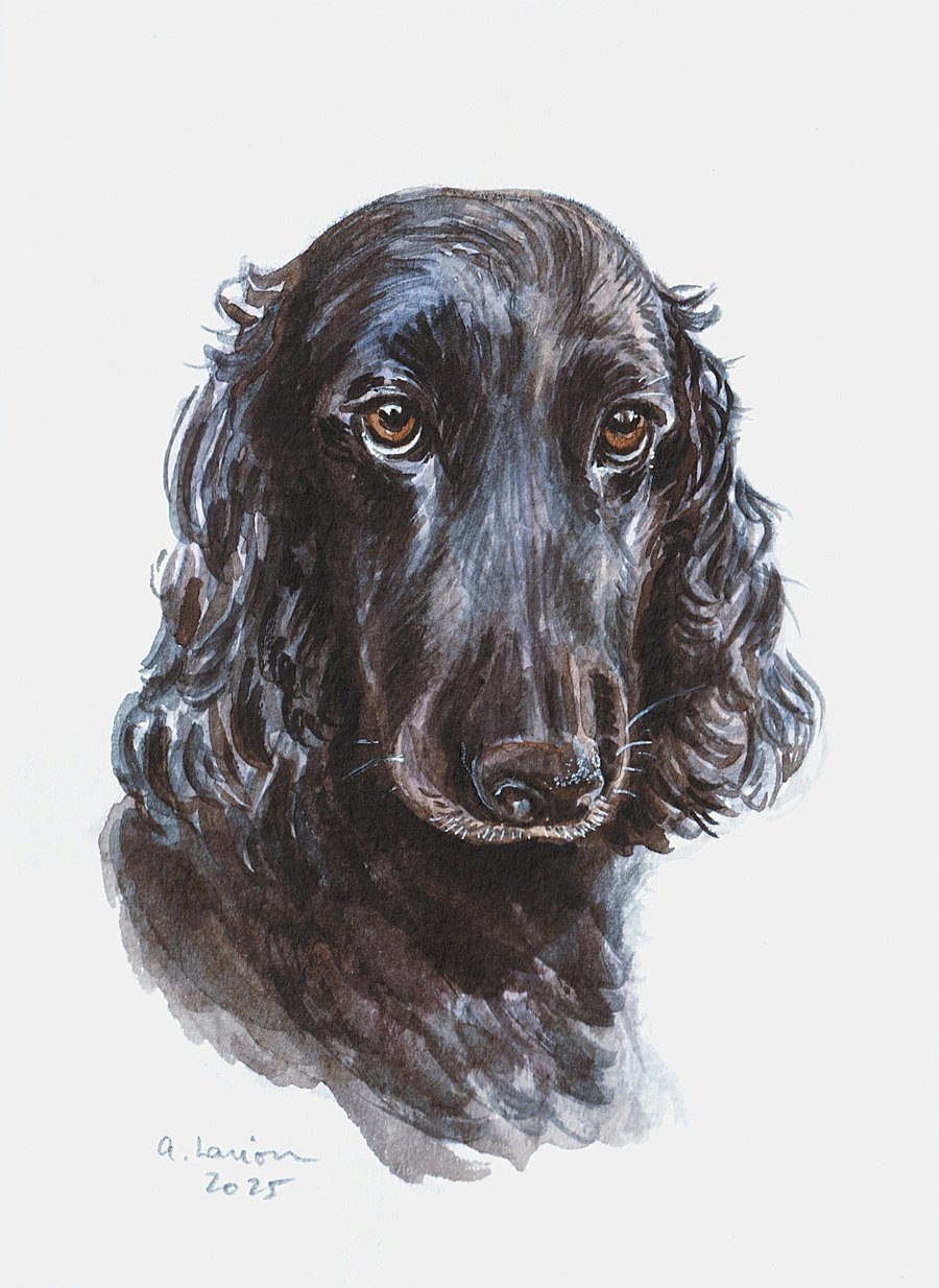 Custom A6 Pet Portrait WATERCOLOUR PAINTING