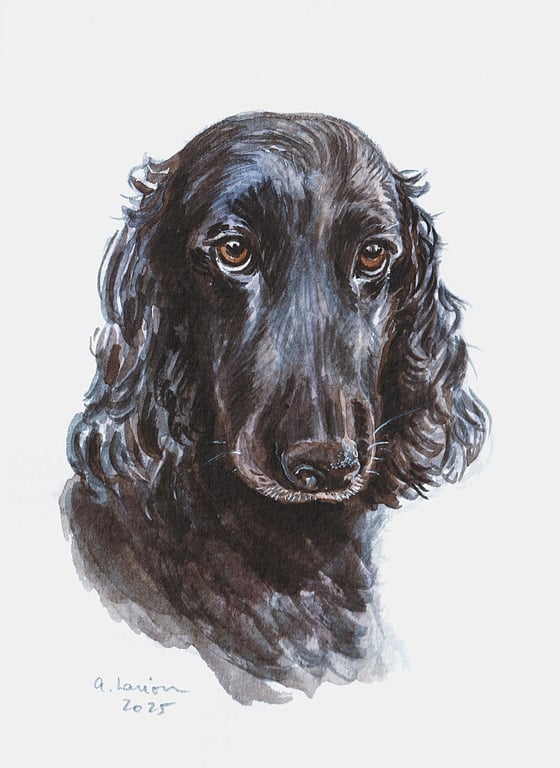 Custom A6 Pet Portrait WATERCOLOUR PAINTING