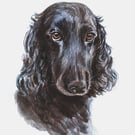 Custom A6 Pet Portrait WATERCOLOUR PAINTING
