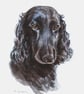 Custom A6 Pet Portrait WATERCOLOUR PAINTING - Image 3