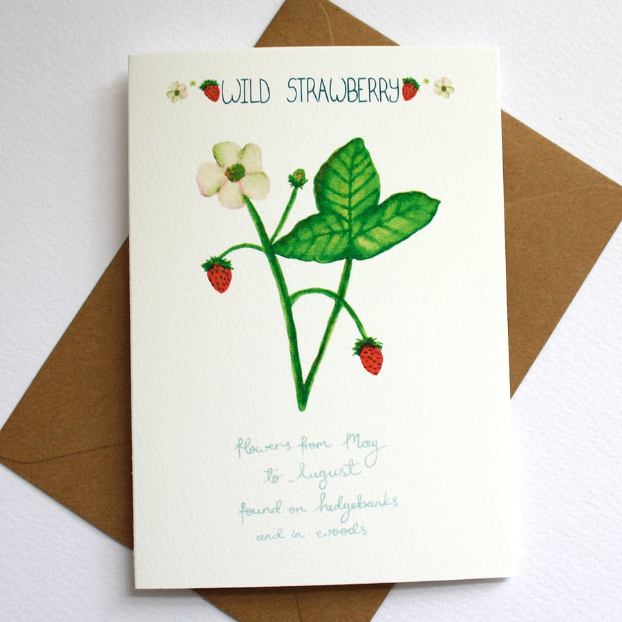 Wild strawberry- British wildflower card