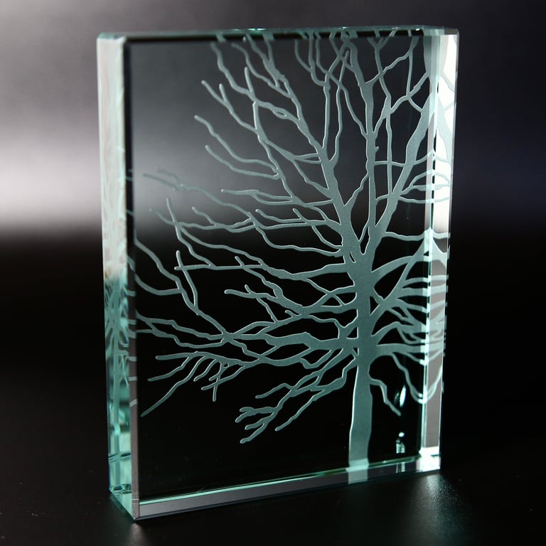 Winter Tree Glass Block