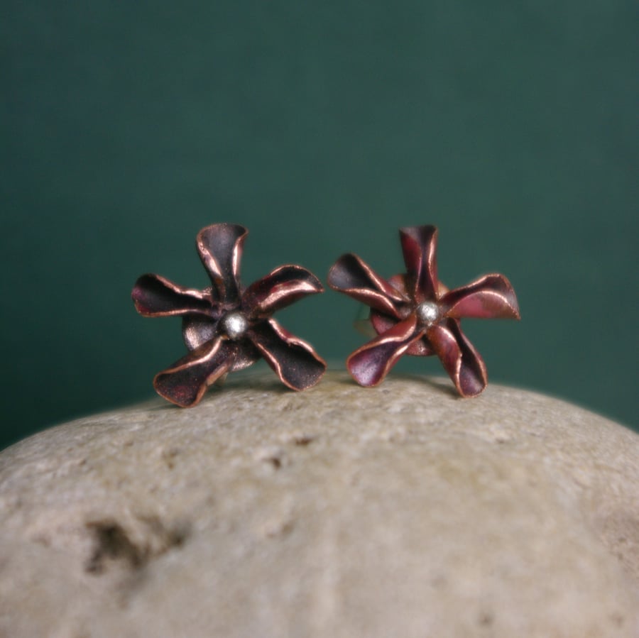 Small Star Flower Stud Earrings
