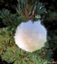 Medium size  White pure wool Christmas baubles pet and children friendly