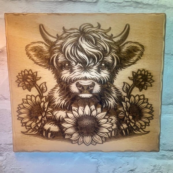 Baby highland cow engraved wooden plaque 