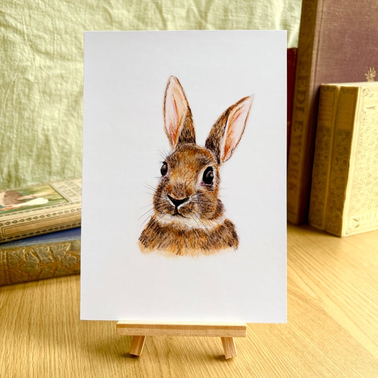 Wild Rabbit - Art Print A5 or A4