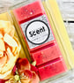 Rhubarb & Custard Snap Bar Wax Melts 