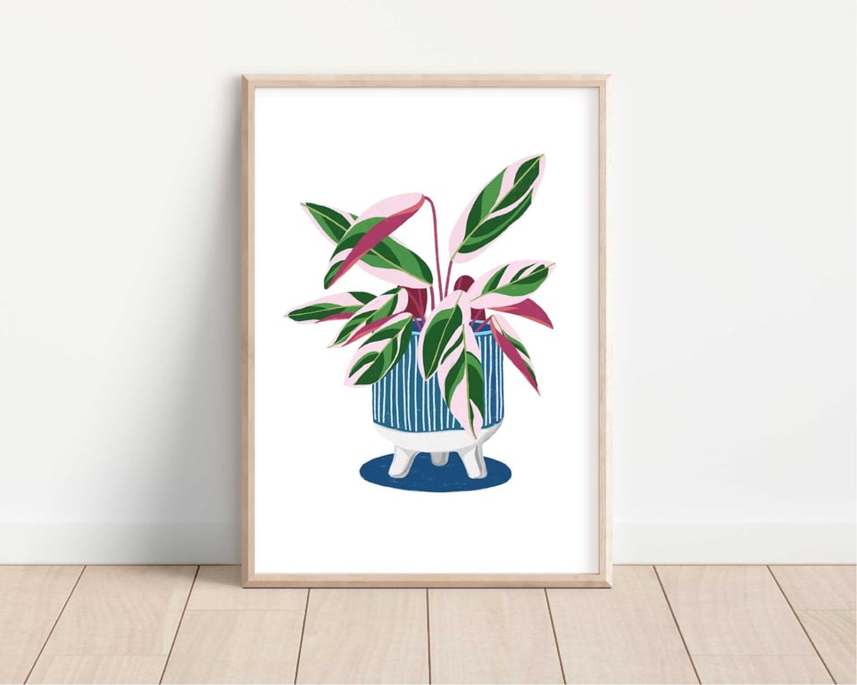 Calathea Triostar Plant Print