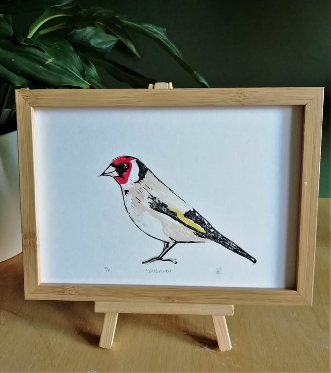 Goldfinch
