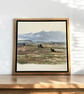 Northumberland hills - Serene Day - Image 7