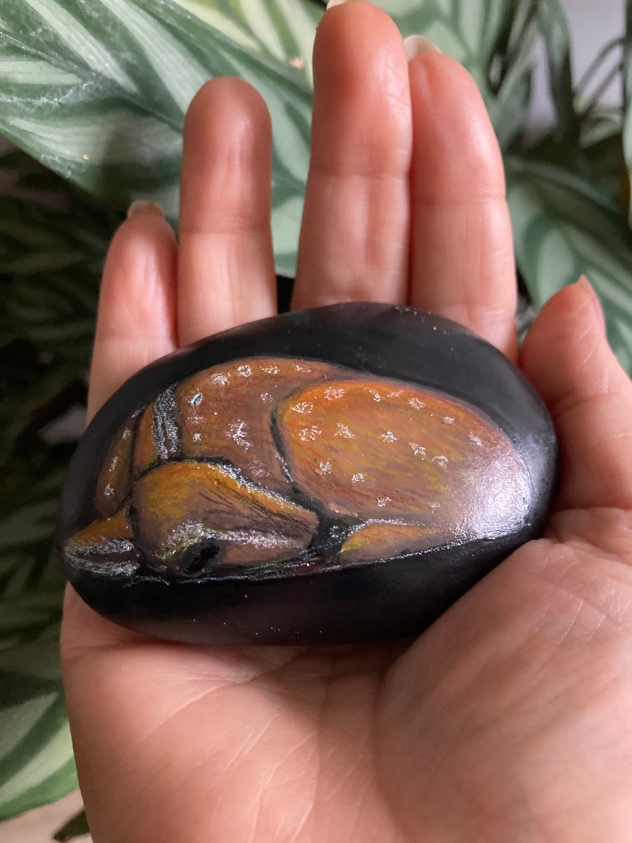 Sleeping Baby Deer Fawn Hand Painted On Stone
