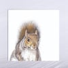 Grey Squirrel Greetings Card with free Bookmark 