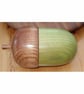 Acorn - Image 1