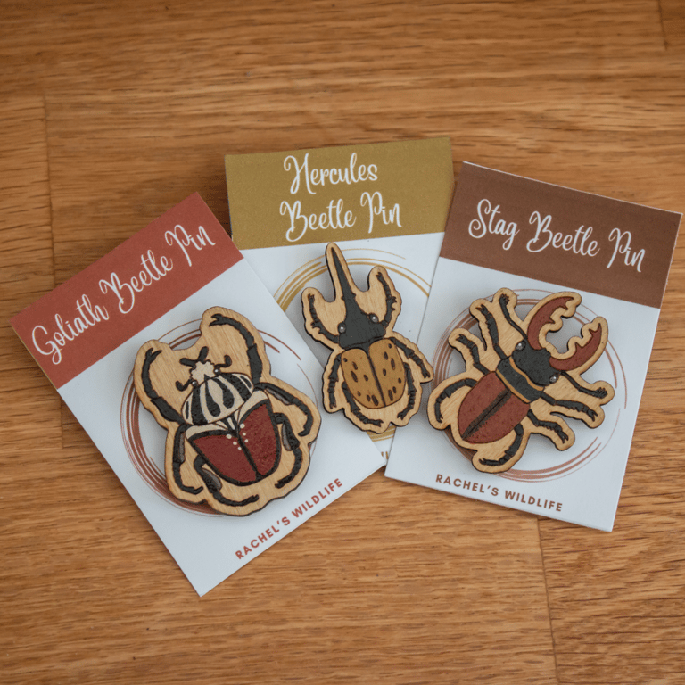 Set of 3 Wooden Beetle Pins – Goliath, Hercules & Stag Beetles 