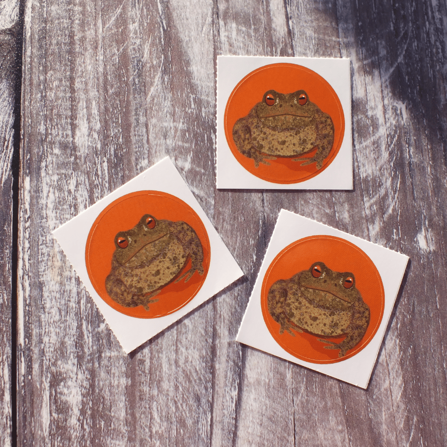 Toad 38mm Round Sticker