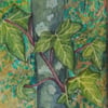 Ivy Plant Botanical Watercolour Painting Nature Small Watercolour