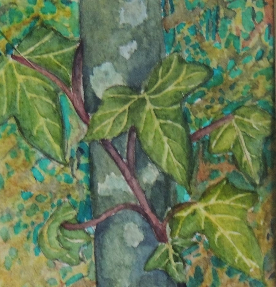 Ivy Plant Botanical Watercolour Painting Nature Small Watercolour