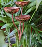 Copper Rain Catcher Garden Sculpture - Image 2