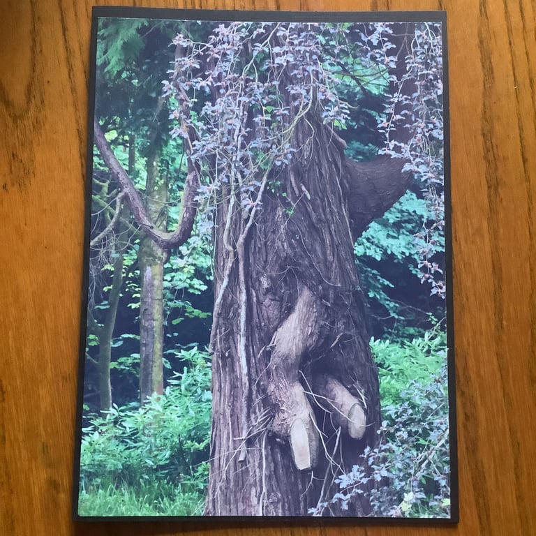 Handmade photo card of a magic looking tree, 'Let me out'