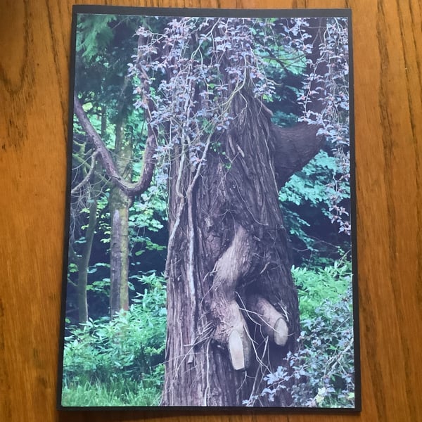 Handmade photo card of a magic looking tree, 'Let me out'