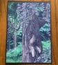 Handmade photo card of a magic looking tree, 'Let me out'