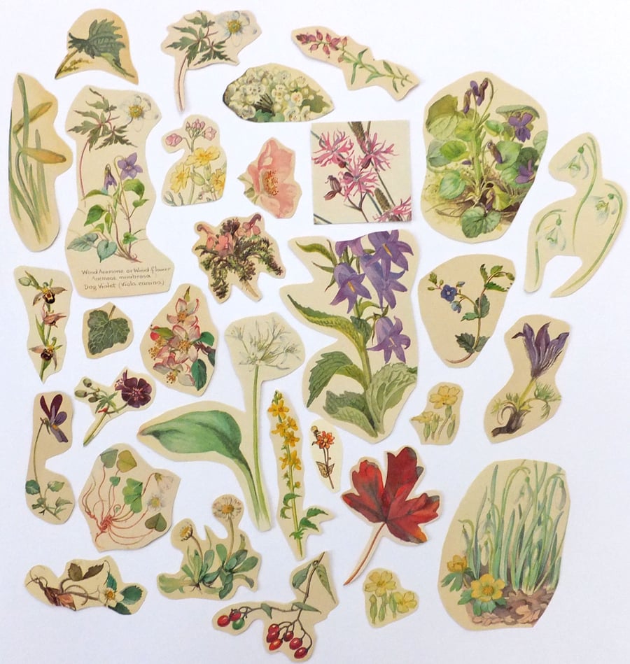 Paper Ephemera Pack - Flowers - Craft Supplies