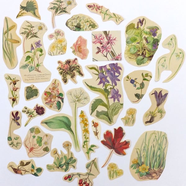 Paper Ephemera Pack - Flowers - Craft Supplies