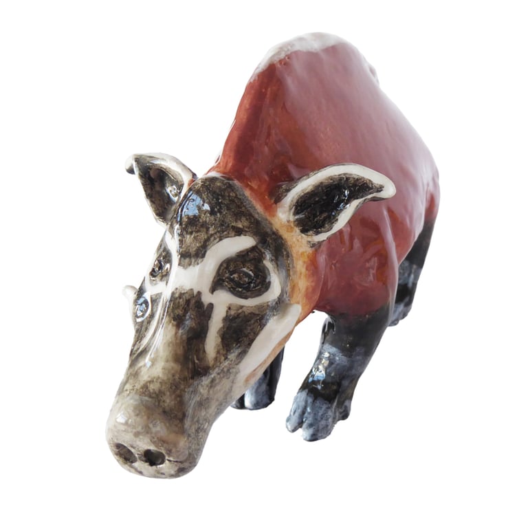 Red River Hog Ceramic Ornament - Hand Built