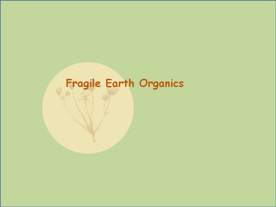 Fragile Earth