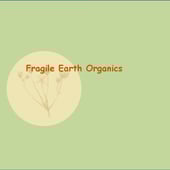 Fragile Earth