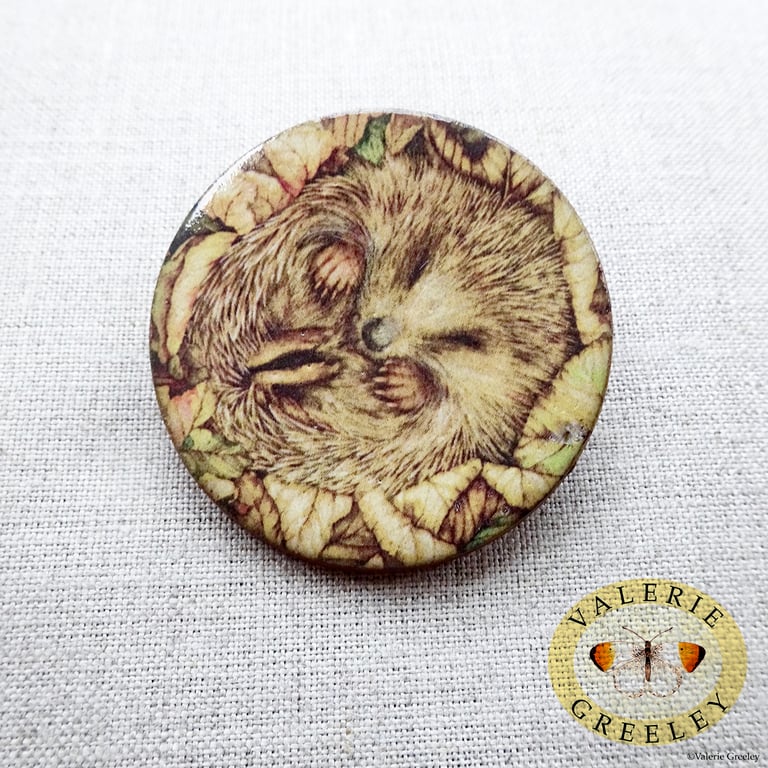 Hedgehog asleep ceramic brooch by Valerie Greeley