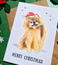 Pomeranian Christmas card, Dog lover Christmas card, From the dog at Christmas - Image 2