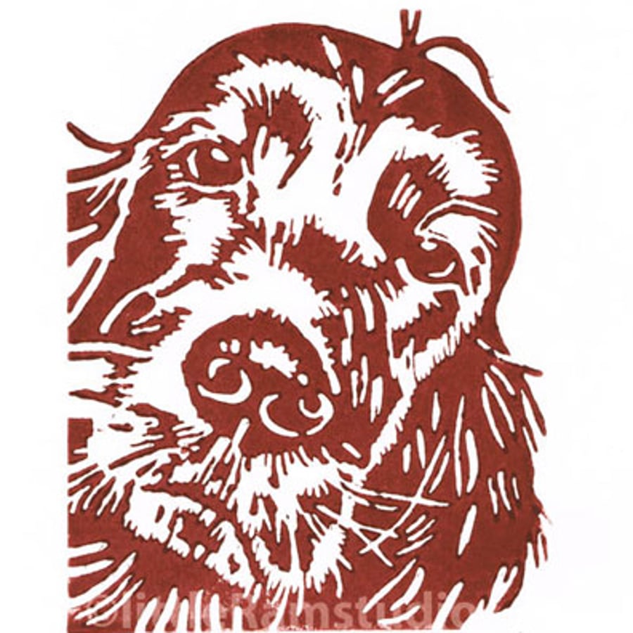 Red Setter Dog - Original Hand Pulled Linocut Print