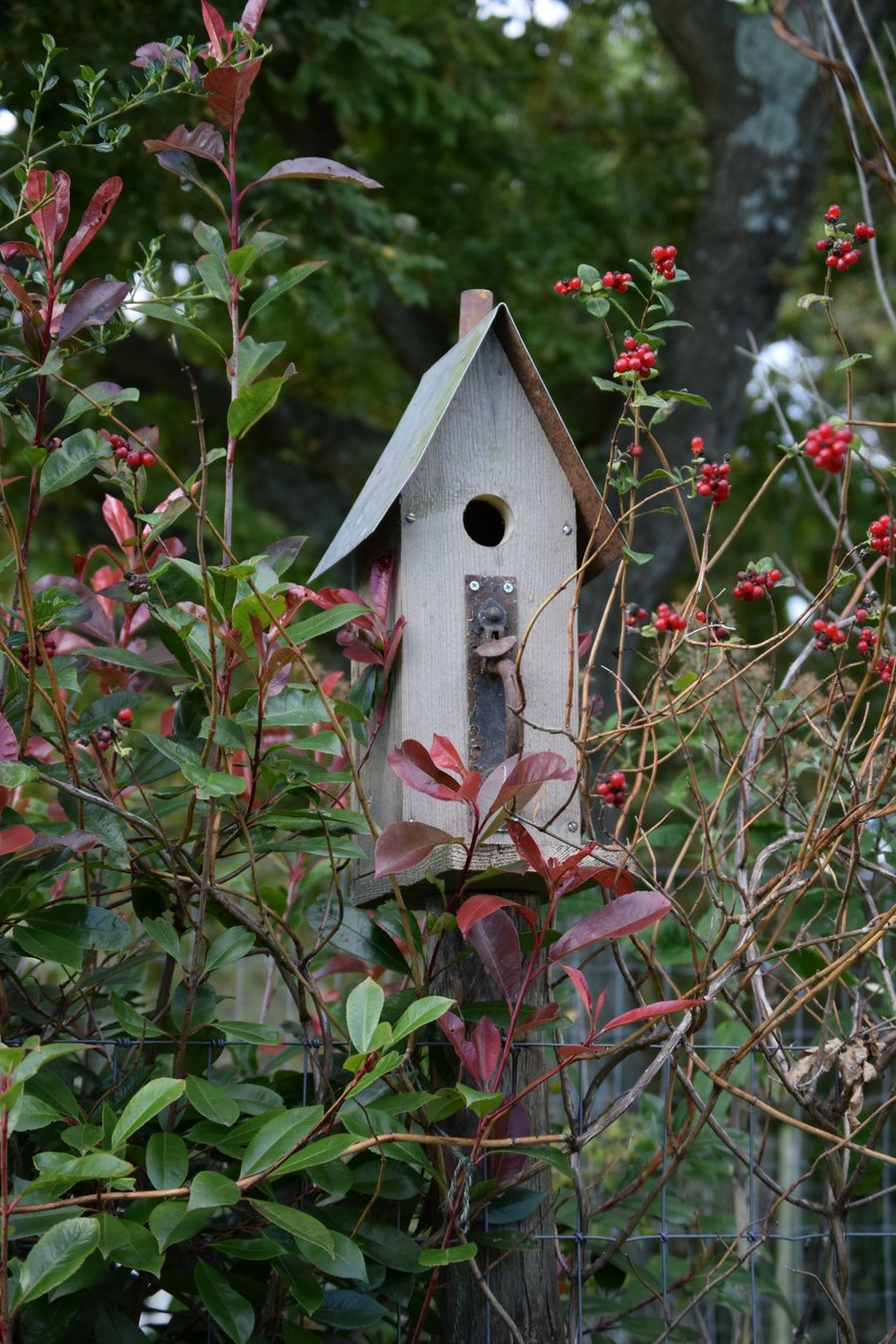 Little Square House