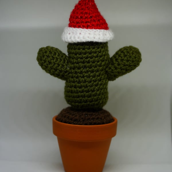  Crochet cactus desert style. Christmas Cactus with removeable Santa hat